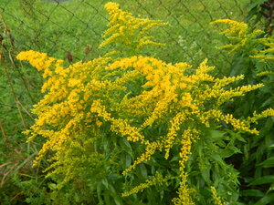 DSCN3306.JPG