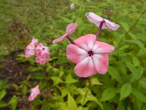 DSCN3340.JPG