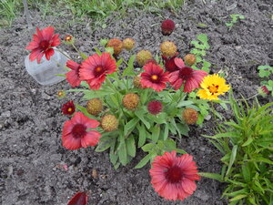 DSCN3344.JPG