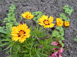 DSCN3345.JPG