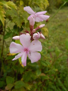 DSCN3355.JPG