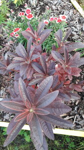 20200928_164358.jpg