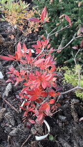 20200928_164304.jpg