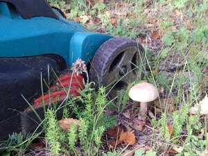 DSCN3418.JPG