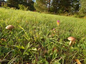 DSCN3416.JPG