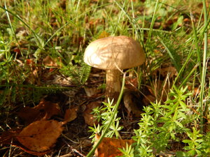 DSCN3417.JPG