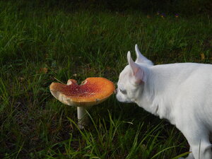 DSCN3420.JPG