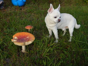 DSCN3423.JPG