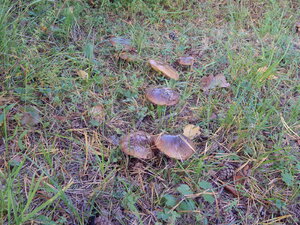 DSCN3424.JPG