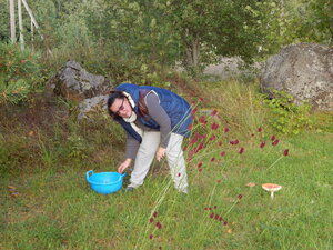 DSCN3426.JPG