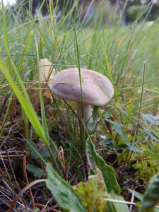 DSCN3428.JPG