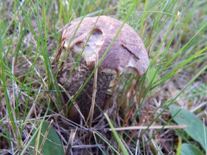 DSCN3430.JPG