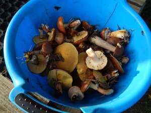 DSCN3433.JPG