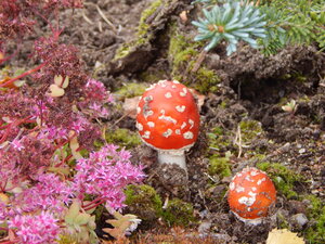 DSCN3649.JPG