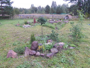 DSCN3441.JPG