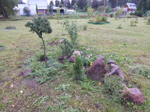 DSCN3442.JPG
