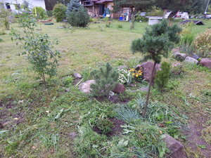 DSCN3443.JPG