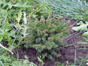 DSCN3444.JPG