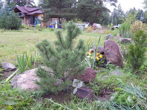 DSCN3445.JPG