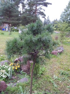 DSCN3446.JPG