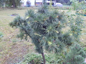 DSCN3449.JPG