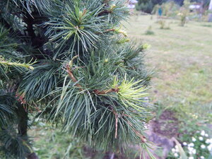 DSCN3450.JPG