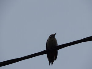 DSCN3546.JPG