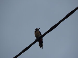 DSCN3547.JPG