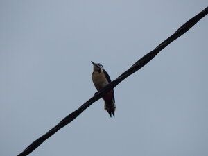 DSCN3548.JPG