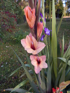 DSCN3598.JPG