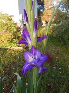 DSCN3601.JPG