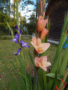 DSCN3715.JPG
