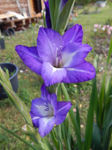 DSCN3716.JPG