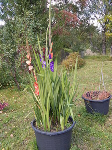 DSCN3718.JPG