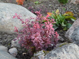 DSCN3629.JPG