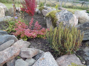 DSCN3630.JPG