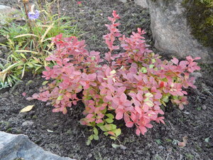 DSCN3631.JPG