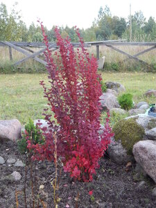 DSCN3632.JPG