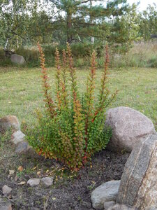 DSCN3633.JPG