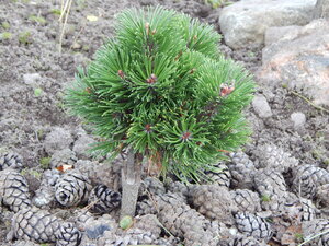 DSCN3636.JPG