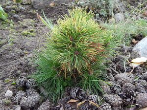 DSCN3640.JPG