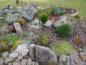 DSCN3645.JPG