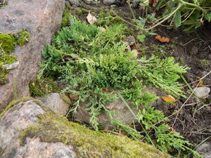 DSCN3643.JPG