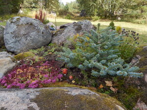 DSCN3648.JPG