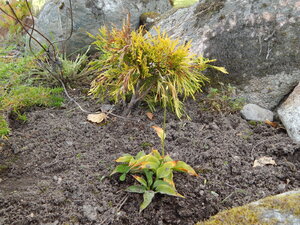 DSCN3652.JPG