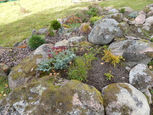 DSCN3654.JPG