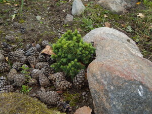 DSCN3655.JPG