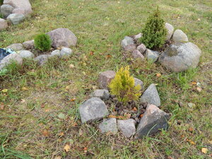 DSCN3658.JPG