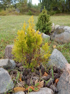 DSCN3659.JPG