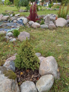 DSCN3660.JPG
